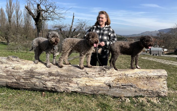 Freilichtmuseum Beuren